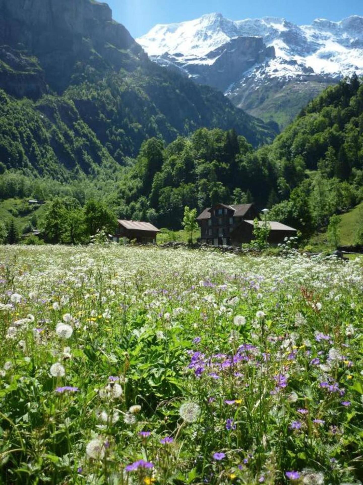 Alpenhof Mountain *